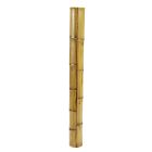 Bamboo GIANT-Corner