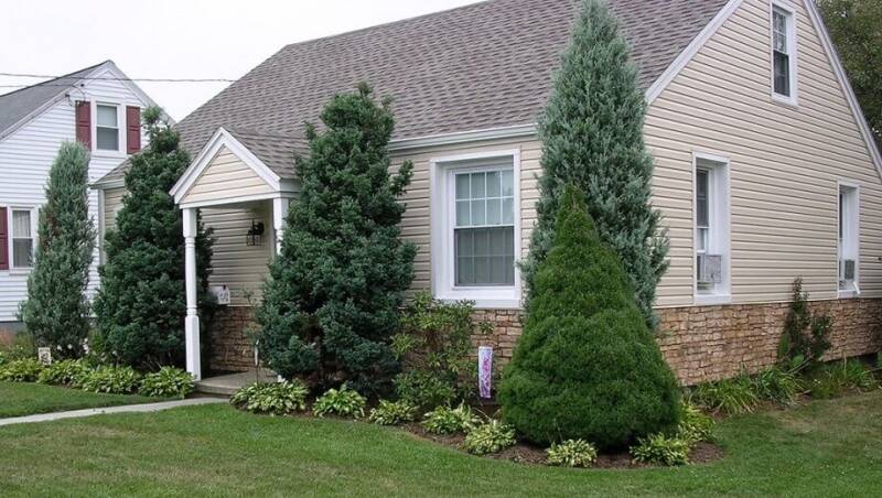 Single family home with yellow siding and featuring a half wall of brown stone faux wall panels.